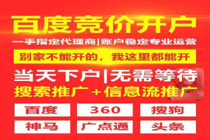 百度品牌广告的创意与执行案例